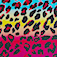 Rainbow Cheetah